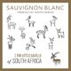 The Little Gazelle Sauvignon Blanc 2023 750ml