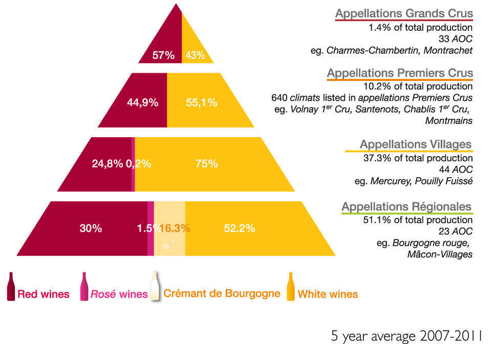 Burgundy wine classifications breakdown