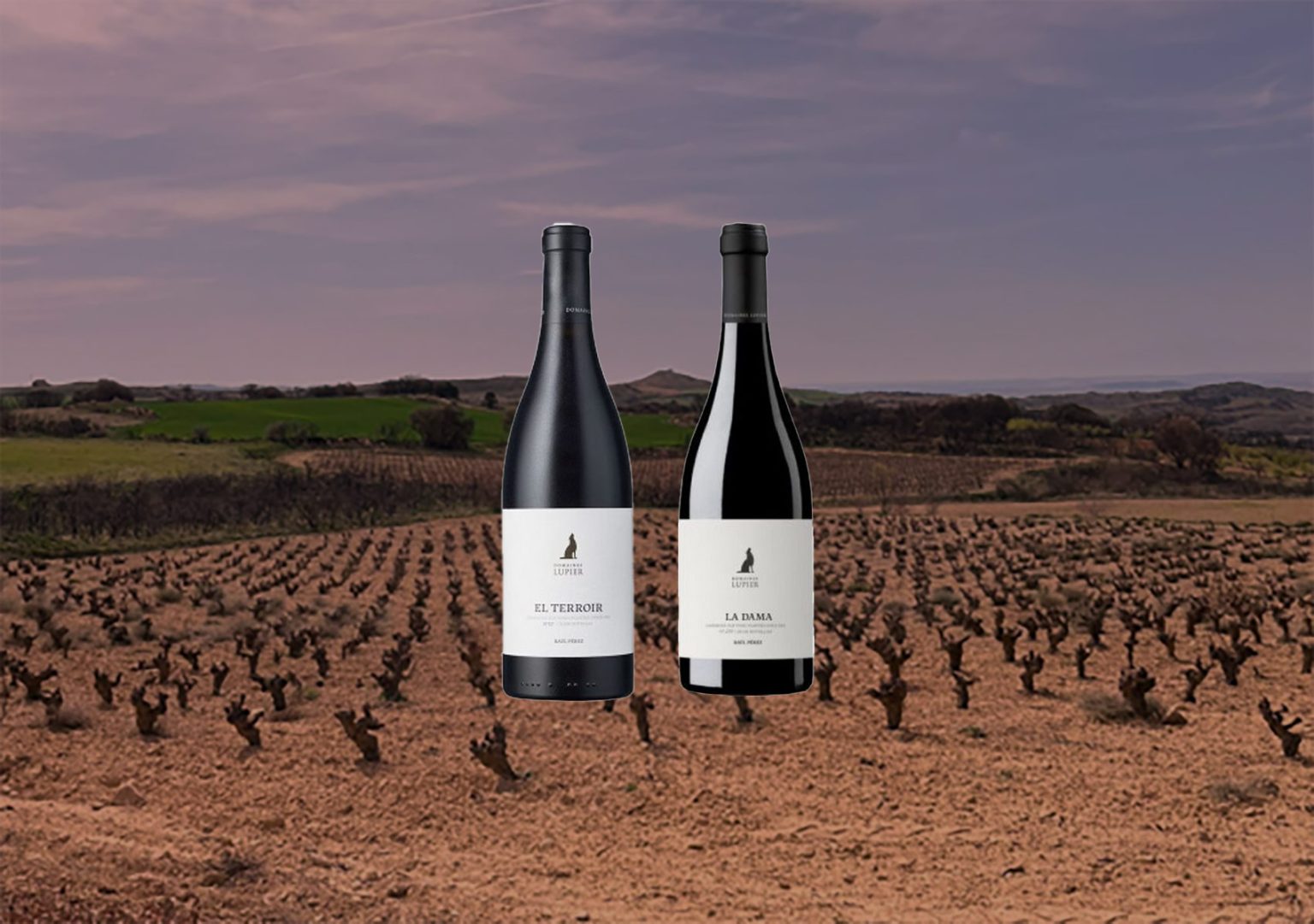 Domaines Lupier