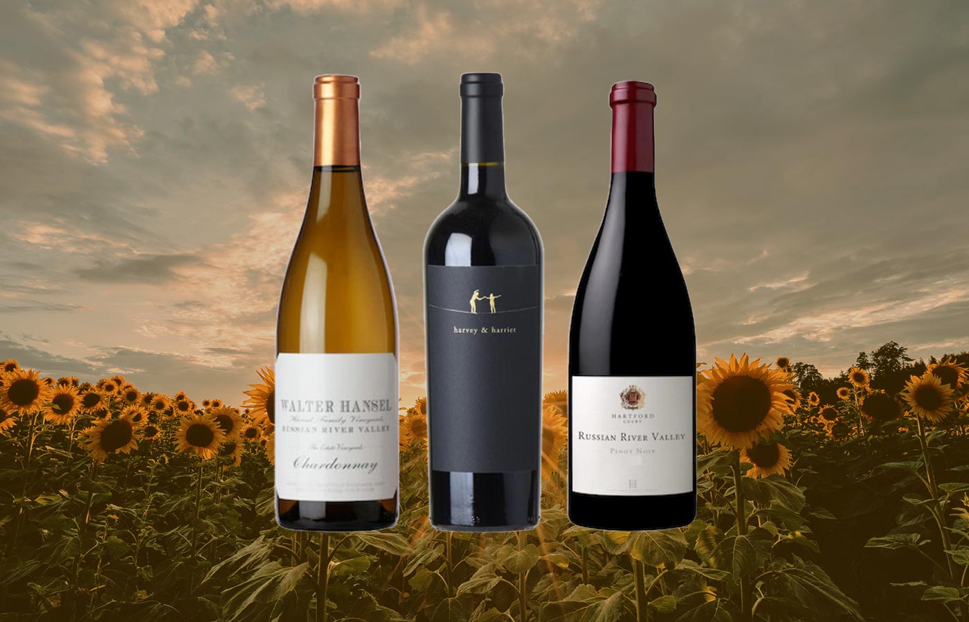 Late Summer Picks under $30