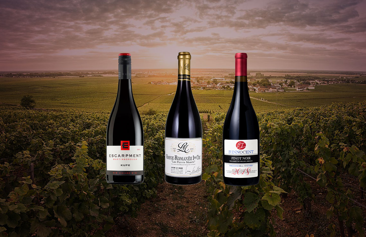 Bottles of Pinot Noir from around the world