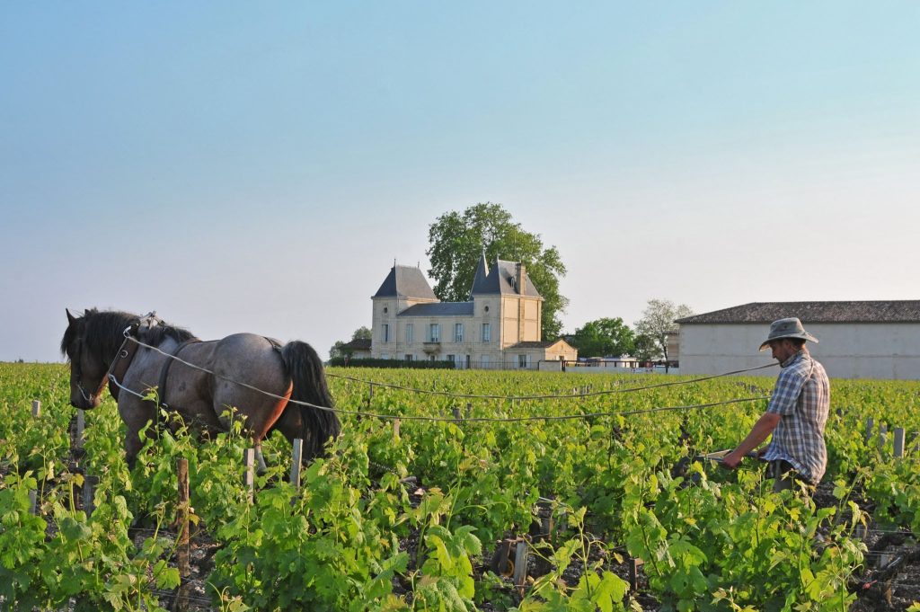 Château Margaux ploughing