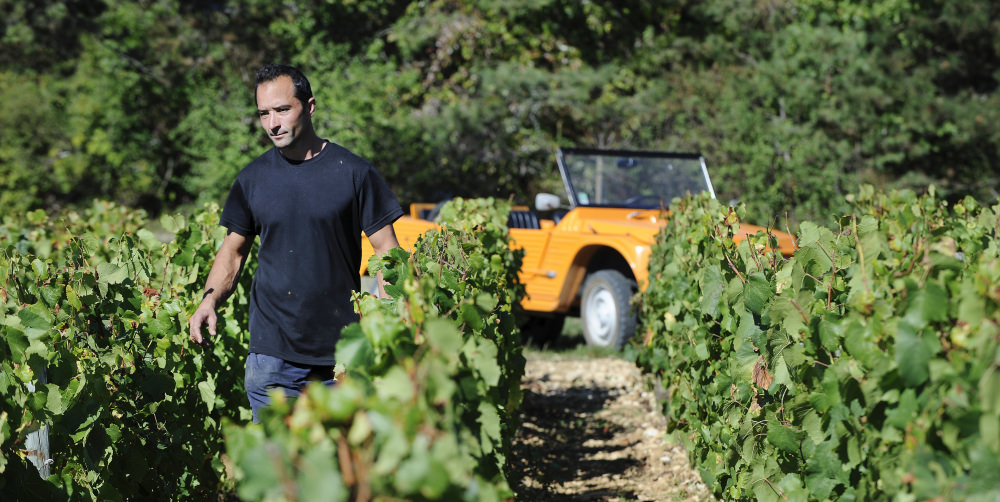 Guillaume Camus of Domaine Camus-Bruchon