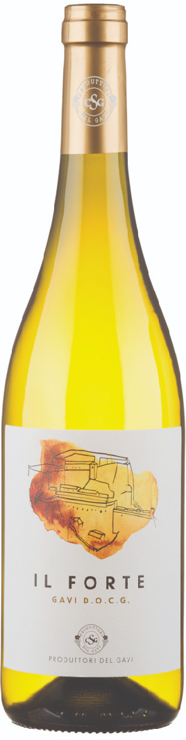 Produttori del Gavi Gavi Il Forte