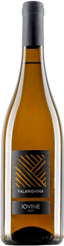 Iovine Campania Falanghina IGT