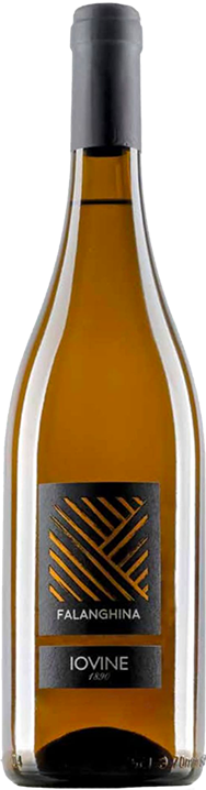 Iovine Campania Falanghina IGT