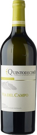 Quintodecimo Falanghina Via del Campo