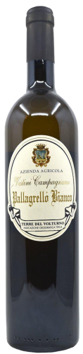 Vestini Campagnano Pallagrello Bianco