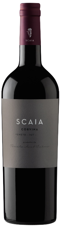 Tenuta Sant'antonio Scaia Corvina