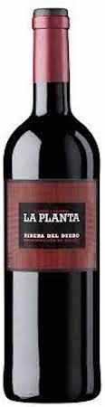 Arzuaga Ribera del Duero la Planta