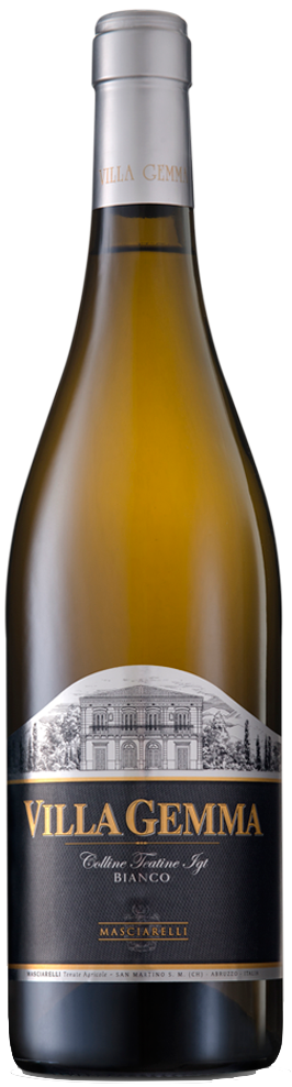 Masciarelli Bianco Colline Teatine Villa Gemma Masciarelli Bianco Colline Teatine Villa Gemma
