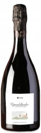 Fiorini Lambrusco Di Sorbara Vigna Del Padre