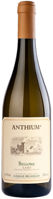 Casale del Giglio Bellone "Anthium" Casale del Giglio Bellone "Anthium"