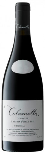 ワイン Columella 2023 The Sadie Family Wines Sadie Family Columella 2022 750ml - Buy online at SaratogaWine.com