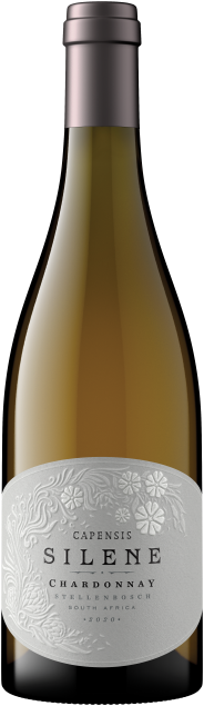 Capensis Chardonnay Silene