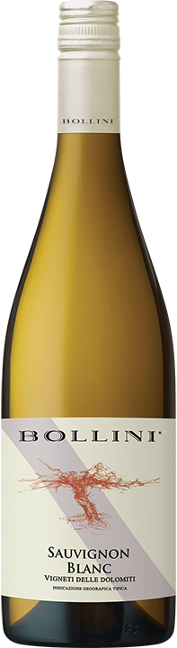 Bollini Sauvignon Blanc