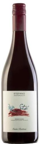 Santa Barbara [Stefano Antonucci] Rosso Piceno "Ste"