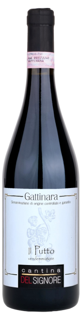 Cantina Delsignore Gattinara Il Putto