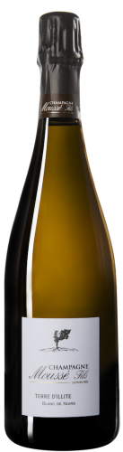 Mousse Champagne Millesime Brut Terre D'Illite