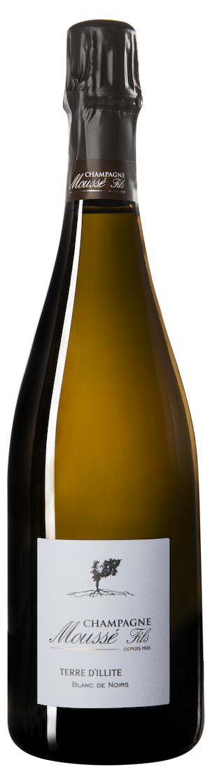 Mousse Champagne Millesime Brut Terre D'Illite