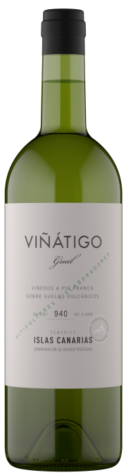 Vinatigo Gual Vinatigo Gual