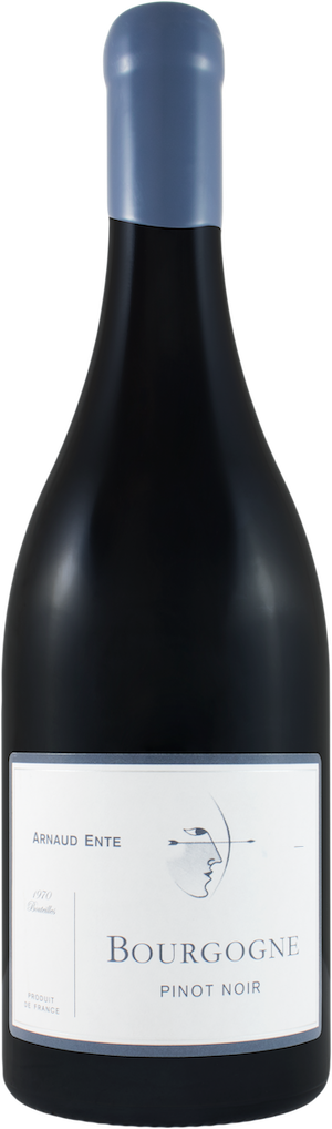 Arnaud Ente Bourgogne Pinot Noir Arnaud Ente Bourgogne Pinot Noir