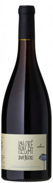 Dufaitre Cote de Brouilly