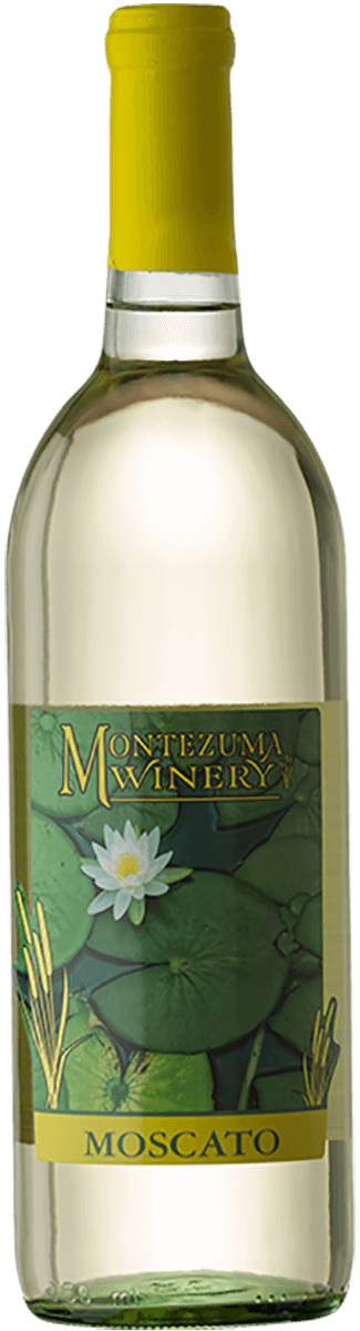 Montezuma Moscato NV 750ml Buy online at