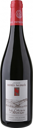 Domaine Patrick Baudouin Anjou Rouge Coteaux d'Ardenay