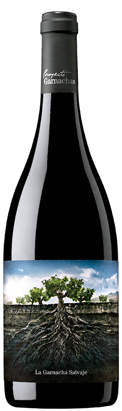 Proyecto la Garnacha Salvaje del Moncayo