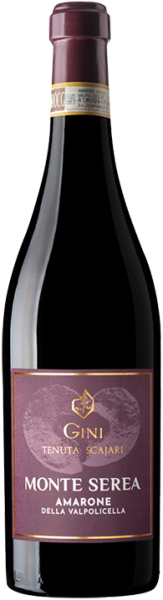 Gini Amarone della Valpolicella 