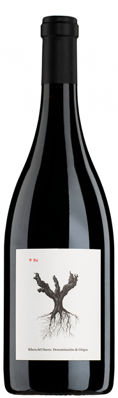 Bodegas y Vinedos Alnardo Ribera del Duero PSI Bodegas y Vinedos Alnardo Ribera del Duero PSI