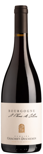 Domaine Grachet Duchemin Bourgogne Cote D’or Pinot Noir A Flanc de Colline