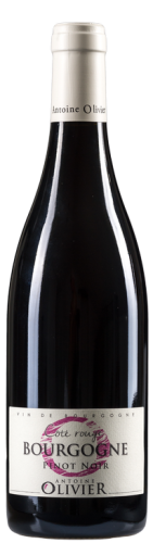 Antoine Olivier Bourgogne Pinot Noir "Cote Rouge"
