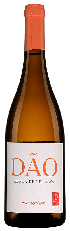 Adega de Penalva Dao Branco "Maceration"