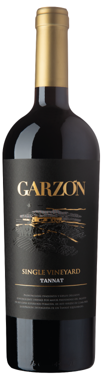 Bodega Garzon Tannat Single Vineyard