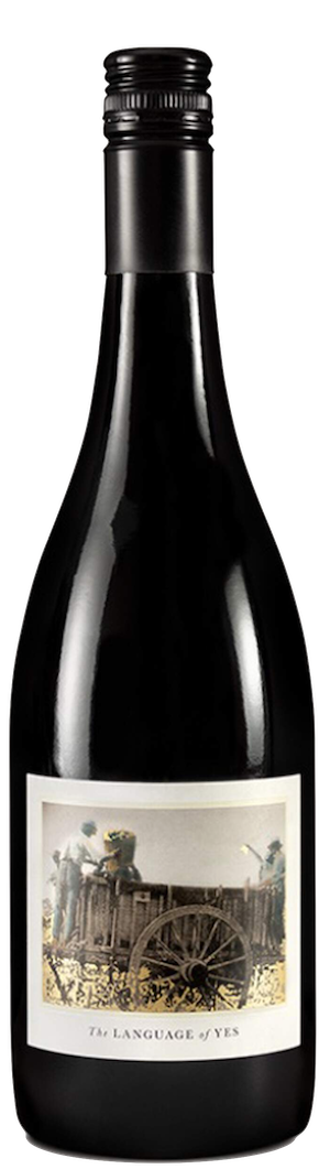 Language Of Yes Syrah