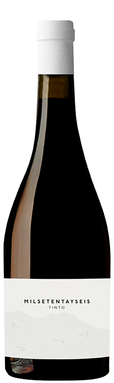 Bodega Milsetentayseis Tinto