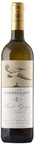Castellani Pinot Grigio