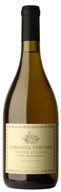 Catena Zapata Chardonnay White Stones Adrianna Vineyard