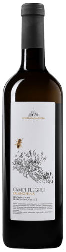 Contrada Salandra Falanghina Campi Flegrei