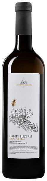 Contrada Salandra Falanghina Campi Flegrei