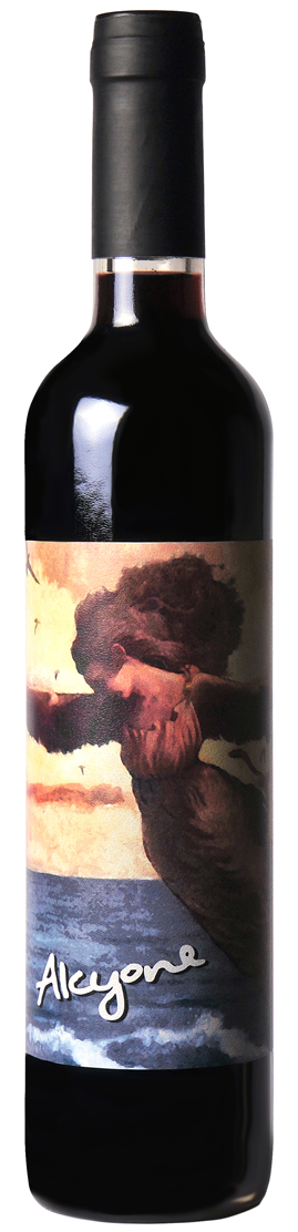 Bodega Pablo Fallabrino Tannat Dessert Wine "Alcyone"
