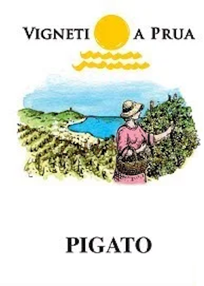 Vigneti A Prua Pigato Vigneti A Prua Pigato