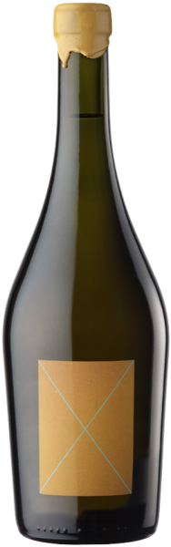 Stella Crinita Barbera