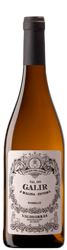 Virgen del Galir Pagos del Galir Godello