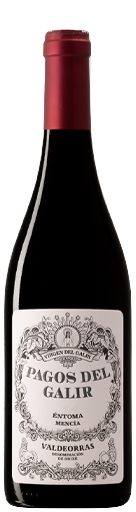 Virgen del Galir Pagos del Galir Mencia