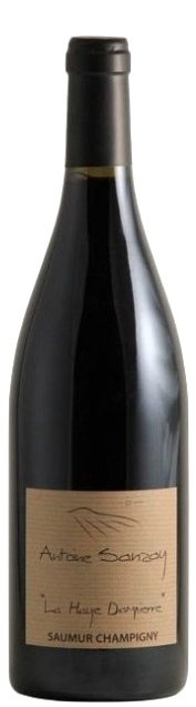 Antoine Sanzay Saumur Champigny la Haye Dampierre