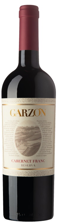 Bodega Garzon Cabernet Franc Reserva