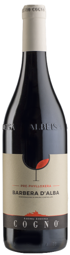 Elvio Cogno Barbera d'Alba Pre-Phylloxera Elvio Cogno Barbera d'Alba Pre-Phylloxera